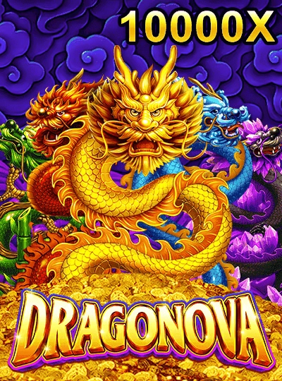 Bingo Bonanza game cover